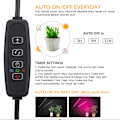 Miniatyrbillede 3 af 5: Fuldt spektrum LED-plantevækstlys, justerbart UV-bonsai-plantevækstlys (to-rørs LED-plantevækstlys，5V-3A US/EU-adapter)