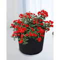 Miniatyrbillede 3 af 3: Havevækstpose, 1 gallon, 18*15 cm, 4 stk