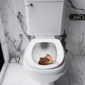 Pikkukuva 4 / 5: （32*38cm）WC-istuimen tarra