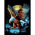 Pikkukuva 1 / 5: (30x40cm)12\"x16\" 5D DIY timanttimaalaussetti Eagle Landscap