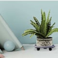 Miniatyrbild 5 av 5: Växtvagn Rullande Växtstativ Blomkruka Stativ, med Hjul,