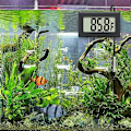 Miniatyrbillede 5 af 5: 2 Akvarie Termometre, Akvarie Termometer, Bil Reptil T