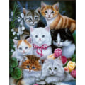 Miniatyrbilde 1 av 5: 30 x 40 cm, ni søte kattunger Diamantmaleri Broderi Diamant Maleri