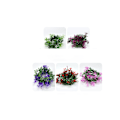 Miniatyrbilde 2 av 3: Girlander, sukkerrør, girlander, jule-LED-lykt, solcellelykt（Petunia） 3 meter 30 lys