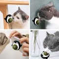 Miniatyrbilde 5 av 5: Blå Kattgresskule Innendørs Kattgress Leke Roterende