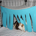 Miniatyrbild 5 av 5: Blå Dröm Hamac Tält för Små Djur Hamster (Blå)