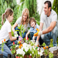 Miniatyrbilde 4 av 5: Hagespade i rustfritt stål, liten hageskovl, mini håndskovl, perfekt for planting, omplanting, luking, graving