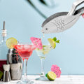 Miniatyrbillede 2 af 5: Manuel citronpresser, rustfri stål citronpresser, bærbar frugtpresser til hjemmebar, fisk