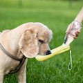 Miniatyrbild 2 av 5: x Vattenflaska för husdjur, Resevattenflaska för hundpromenader, 450 ml Vattenflaskdispenser, Hundmugg för utomhusbruk