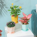 Miniatyrbild 2 av 3: (6 färger) 6 st plastblomkrukor, 13 cm färgglad blomkruka