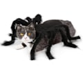 Pikkukuva 5 / 5: Halloween-koirien ja -kissojen asu, karvainen jättimäinen simulointihämähäkki, lemmikkieläinten asut, cosplay-asu