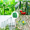 Miniatyrbilde 2 av 5: Netting for klatreplanter Hage espalier netting 2m x 5m Klatreplante støtte fiksering netting Hage