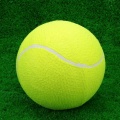 Miniatyrbilde 2 av 5: 9,5 tommers gigantisk tennisball for barn, voksne og kjæledyr