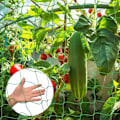 Miniatyrbilde 5 av 5: Netting for klatreplanter Hage espalier netting 2m x 5m Klatreplante støtte fiksering netting Hage