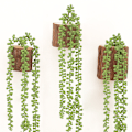 Miniatyrbillede 3 af 5: 2 stk. Kunstig Perle Plante Hængende Kæde Kunstig 76cm Hængende Su