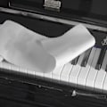 Miniatyrbild 5 av 5: 88 Tangenter Elektroniskt Piano Dammskydd Tangentbordsskydd