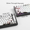 Miniatyrbillede 2 af 5: PBT Keycaps - Side Print Keycaps, Shine Through Custom Keycaps 75 Procent, Retro Keycap Set Dye Sub og Double Shot, 128
