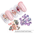 Miniatyrbilde 5 av 5: Abalone Shell Sequins for Nail Art(Style 1), Multicolor Seashell Irregular Sequins Abalone