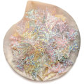 Miniatyrbild 3 av 4: 1 Ask med 6 Färger Söta Kawaii 3D Nagelberlocker Harts Akryl Nagelstenar Strass Aurora Glitterberlocker för Nagelkonst DIY