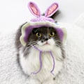 Miniatyrbillede 5 af 5: (Lilla og Pink, Lille) Kæledyrshat Tegneserie Design Strikket Sød Hund & Kat Hat Pleieaccessoirer Tøj Hvalpe Tegneserie Hatte fo