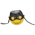 Miniatyrbillede 2 af 3: 2 stk. Antennekugle Biker Aviator Skumantenne Auto Deko Universal