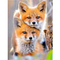 Miniatyrbild 1 av 5: 30 x 40 cm DIY 5D Diamantmålning Fox A