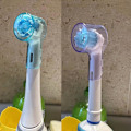 Pikkukuva 5 / 5: 8 kpl Hammasharjan Pään Pölysuojat - Oral B iO -sarjan sähköhammasharjan päille, matkahammasharjan suojukset (monivärinen)