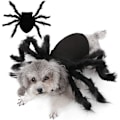 Pikkukuva 2 / 5: Halloween-koirien ja -kissojen asu, karvainen jättimäinen simulointihämähäkki, lemmikkieläinten asut, cosplay-asu
