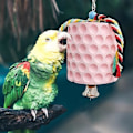 Pikkukuva 3 / 5: Erittäin suuri lintujen pureskelulelu, 5,8×5,8×12cm Papukaijan nokan hiomakivet kelloilla, lintuhäkin tarvikkeet, häkkilelut papukaijoille