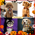 Miniatyrbillede 4 af 5: (12 stk.) Generisk kæledyrsslips Halloween-tema kæledyrsslips Uhyggelig Halloween kæledyrsslips Justerbar behagelig