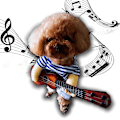 Miniatyrbild 1 av 5: Hundkostym Gitarrspelare Halloween C