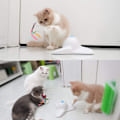 Miniatyrbild 5 av 5: Jaune Jouet Interactif D'Intérieur pour Chat avec Papillon Rota