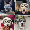 Miniatyrbillede 5 af 5: Hunde Goggles Udendørs Øjenbeskyttelse Justerbar Rem Nem at