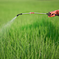 Miniatyrbillede 4 af 5: Plast Spraydyse, Havevandingssprøjte Tilbehør, Sprøjte Reservedele til 3L/5L/8L Rygsprøjte til Landbrug, Sort