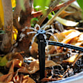 Miniatyrbild 4 av 4: 50 st Justerbara Slangbevattningsdroppare Automatiskt Droppbevattningssystem Mikro Sprinkler Droppare för Växthus DIY Trädgård