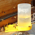 Miniatyrbild 5 av 5: 1 st Gul Honung Vattenautomat för Bin, Vattenautomat Biodlingsmaterial Plast Flytande Matningssystem Bin Biodlingsverktyg Bikupa Vattenautomat Matningsutrustning