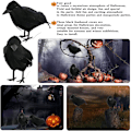Miniatyrbilde 3 av 5: 2 stk. sorte ravnepynt, Halloween ravnepynt
