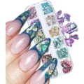 Miniatyrbillede 1 af 5: Abalone Shell Sequins til Neglekunst (Stil 1), Multifarvede Seashell Uregelmæssige Sequins Abalone
