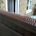 Pikkukuva 4 / 5: 12 kpl Anti-Pigeon Spikes, Muoviset Lintupiikit, Anti-Pigeon P