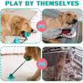 Pikkukuva 2 / 5: Jouet Chien Ventouse Jouet pour Chien Interactif，Nouvelle Versi
