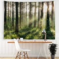Pikkukuva 3 / 5: (150cmx200cm) Auringonpaiste metsäseinävaate Aamuaurinko puiden läpi W
