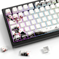 Miniatyrbillede 1 af 5: PBT Keycaps - Side Print Keycaps, Shine Through Custom Keycaps 75 Procent, Retro Keycap Set Dye Sub og Double Shot, 128