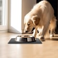 Miniatyrbillede 4 af 5: Silikone Skånemåtte til Katte og Hunde, Sort, 48 x 30 cm