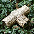 Miniatyrbilde 4 av 5: Hamster Grasstunnel Leketoy Guinea Pig Tunnel og Rørleke for