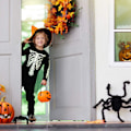 Miniatyrbillede 4 af 5: 3 sorte edderkoppe Halloween dekorationer - Hårede plys edderkopper - Udendørs fest - Spøgelser til voksne