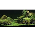Miniatyrbild 1 av 5: 3D-effekt havsbotten vattengräs affisch självhäftande reptil terrarium akvarium bakgrund 91 x 61cm
