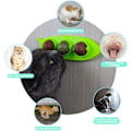 Miniatyrbild 3 av 5: Kattgräsbollar, Ätbara Kattgräs Godis för Katter