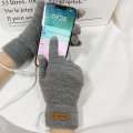 Miniatyrbilde 3 av 3: USB-oppvarmede hansker for menn og kvinner (grå), vinteroppvarmede votter