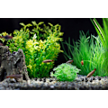 Miniatyrbilde 5 av 5: 100 stk 16mm, Akvariefilterkule, Biokjemisk bomullsfilter, Pu