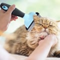 Miniatyrbillede 3 af 5: Hårreducerende børste til hunde og katte, minimerer fældning, forbedrer pelsens sundhed, skånsom mod huden, egnet til kaniner og fritter